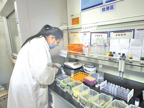 無錫農(nóng)貿市場實現(xiàn)快檢全覆蓋，上半年檢測90多萬批次合格率超99%